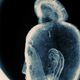 Illustration for article titled Using X-Rays To Peer Inside Ancient Art Objects
